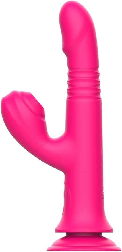 Thrusting Dildo Vibrator for Women & Couples, 6-in-1 Realistic Penis Adult Sex Toy with Suction Cup, 10 Vibrations & Thrusting Swing, Female Pleasure Toy(Rose red)